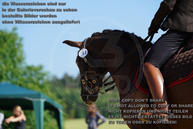s_K3F05606.JPG